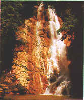 wpe32.jpg (7471 bytes)