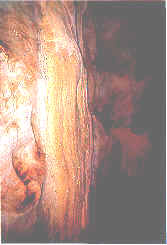 wpe2A.jpg (6490 bytes)