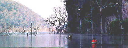 wpe30.jpg (10887 bytes)