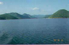 wpe6.jpg (4205 bytes)