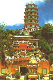 wpe3F.jpg (11726 bytes)