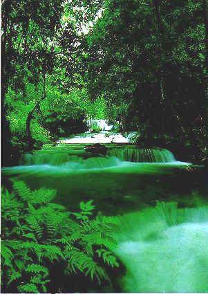 wpe24.jpg (25201 bytes)