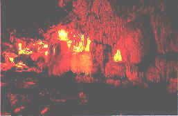 wpe28.jpg (7015 bytes)