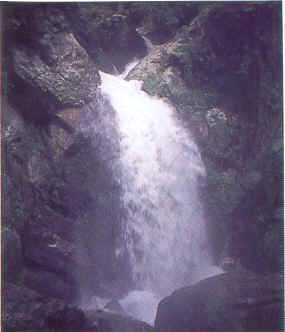 wpe10.jpg (10068 bytes)