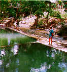 wpe2E.jpg (5766 bytes)