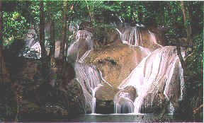 wpe2F.jpg (10627 bytes)